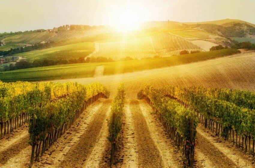  Un viaggio di scoperta sul confine tra Toscana e Marche